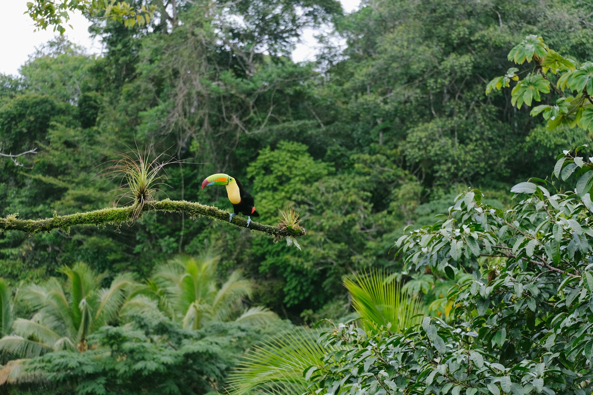 Trinidad & Tobago